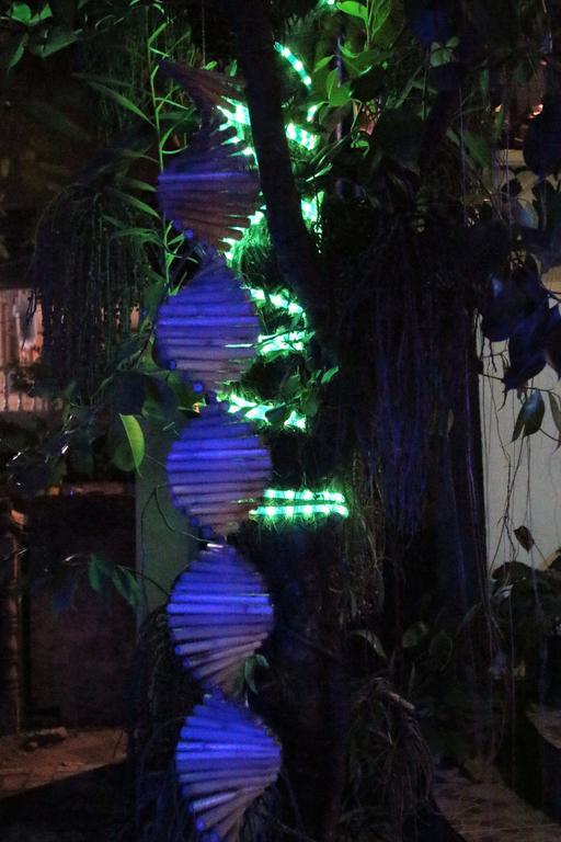 Blue Bamboo Hotel Balabag  Екстериор снимка